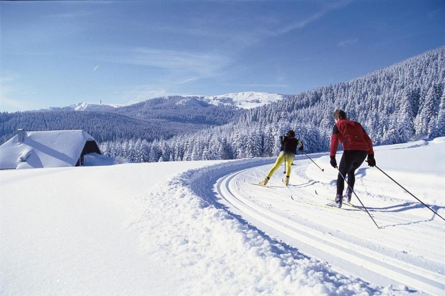 Schwarzwald-Traum Mit Pool Und Sauna Unterkirnach Exterior foto