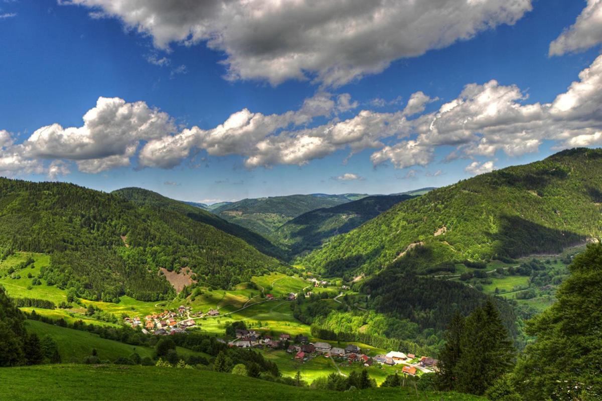 Schwarzwald-Traum Mit Pool Und Sauna Unterkirnach Exterior foto